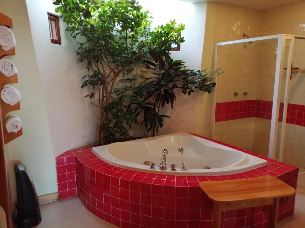 Casa Tsaya Hotel Boutique Bernal Eksteriør billede