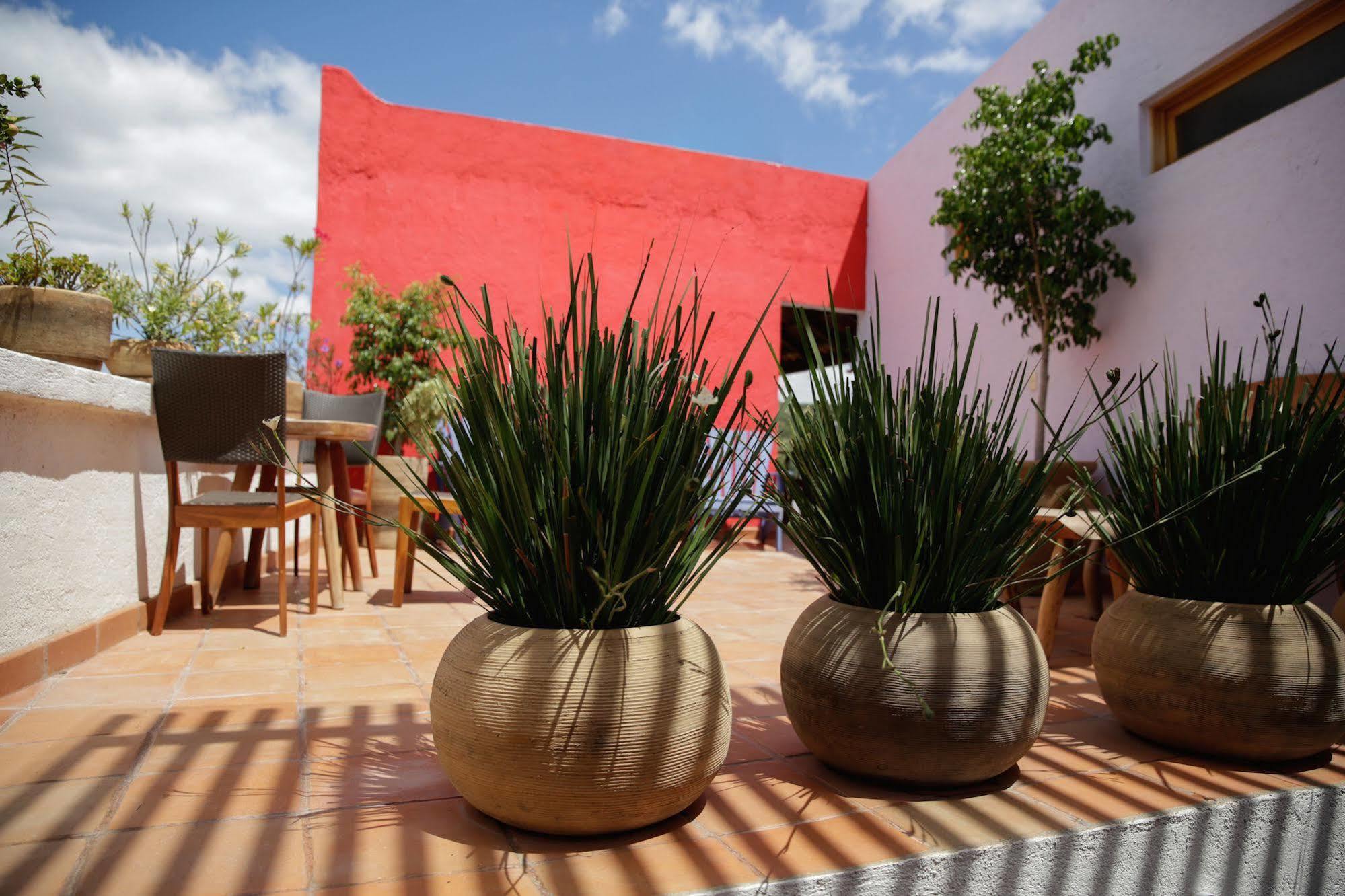 Casa Tsaya Hotel Boutique Bernal Eksteriør billede